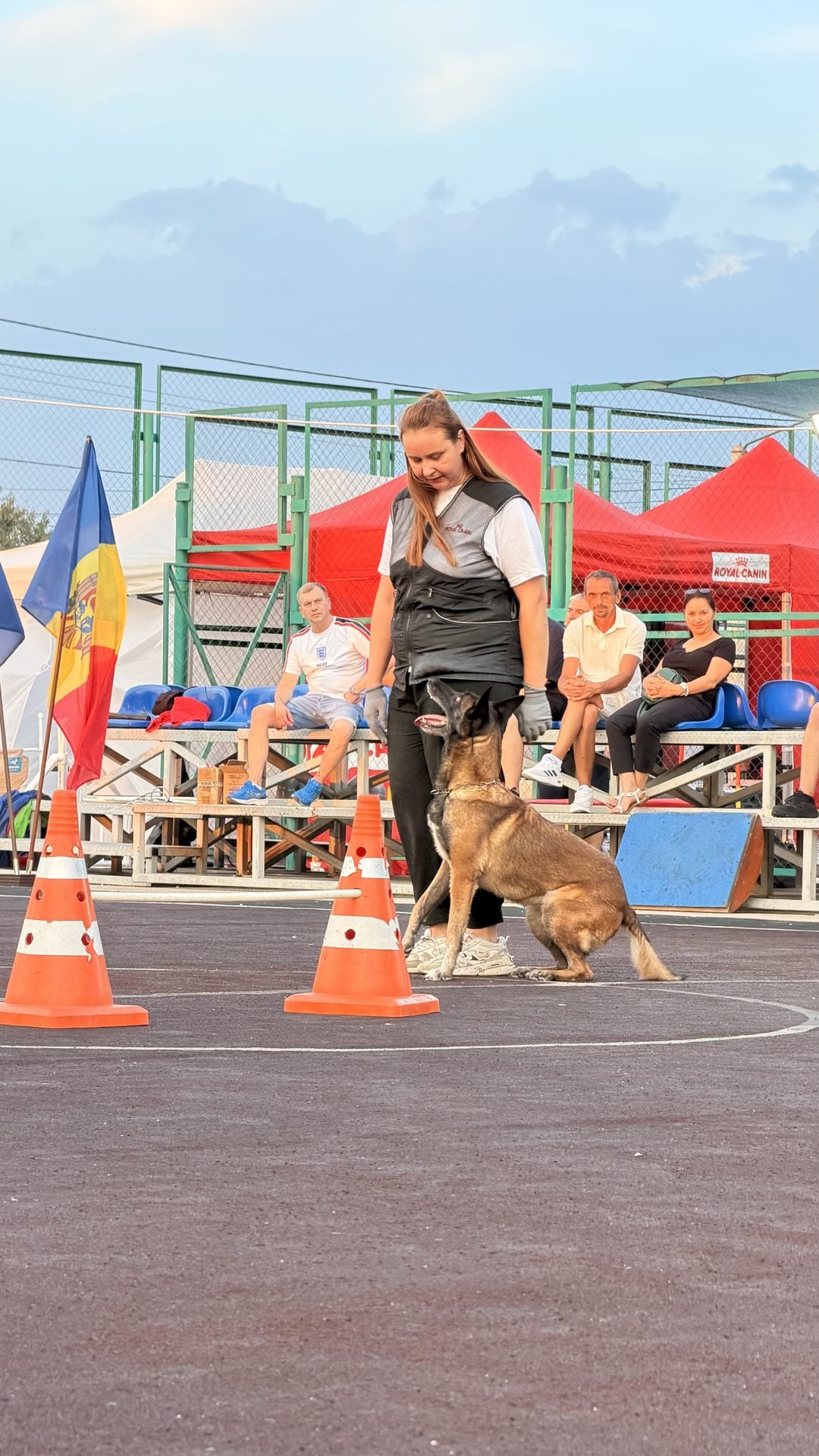 A dog handler demonstration with a service dog